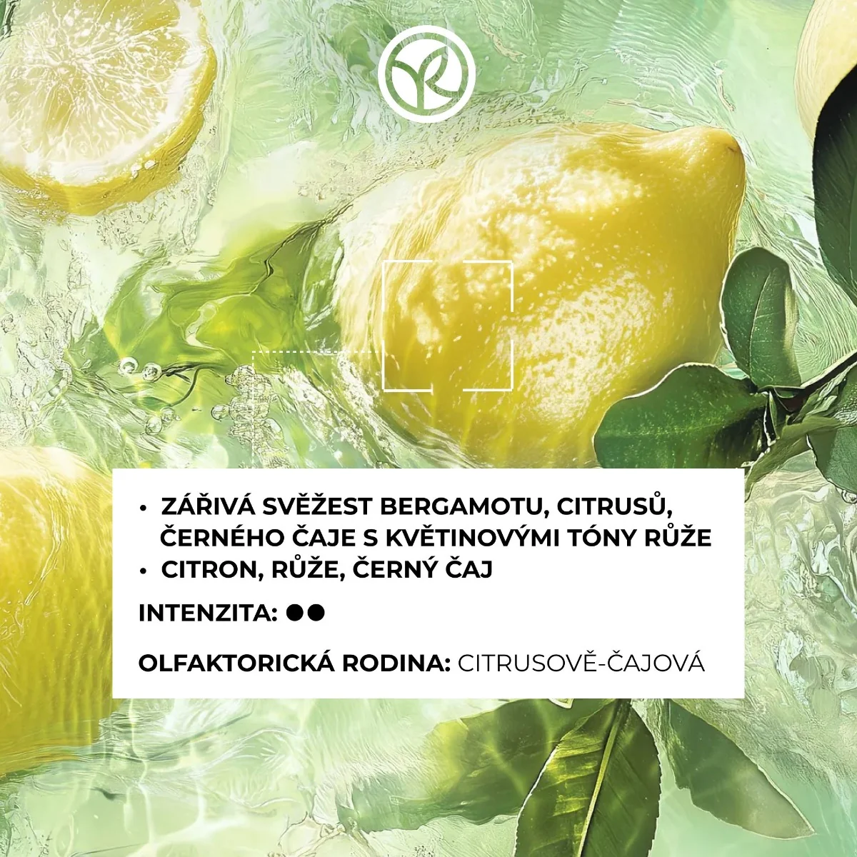 Yves Rocher Parfémová voda Verte Envolée 100 ml