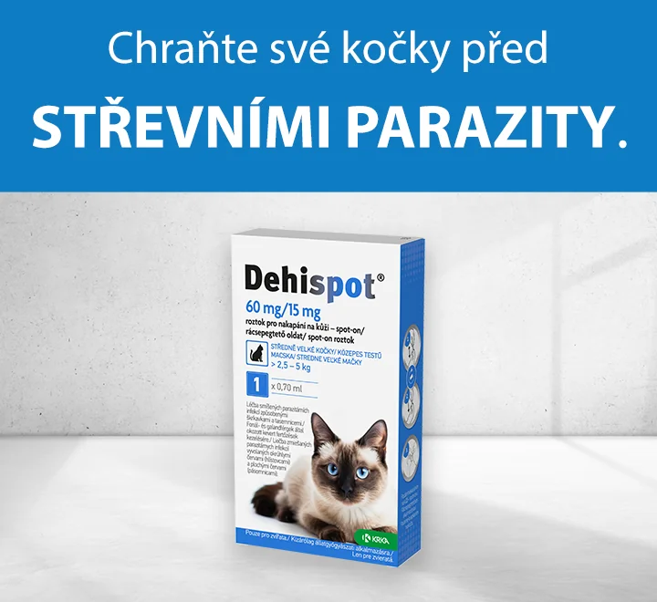 Chraňte své kočky před střevními parazity Chraňte své kočky před střevními parazity