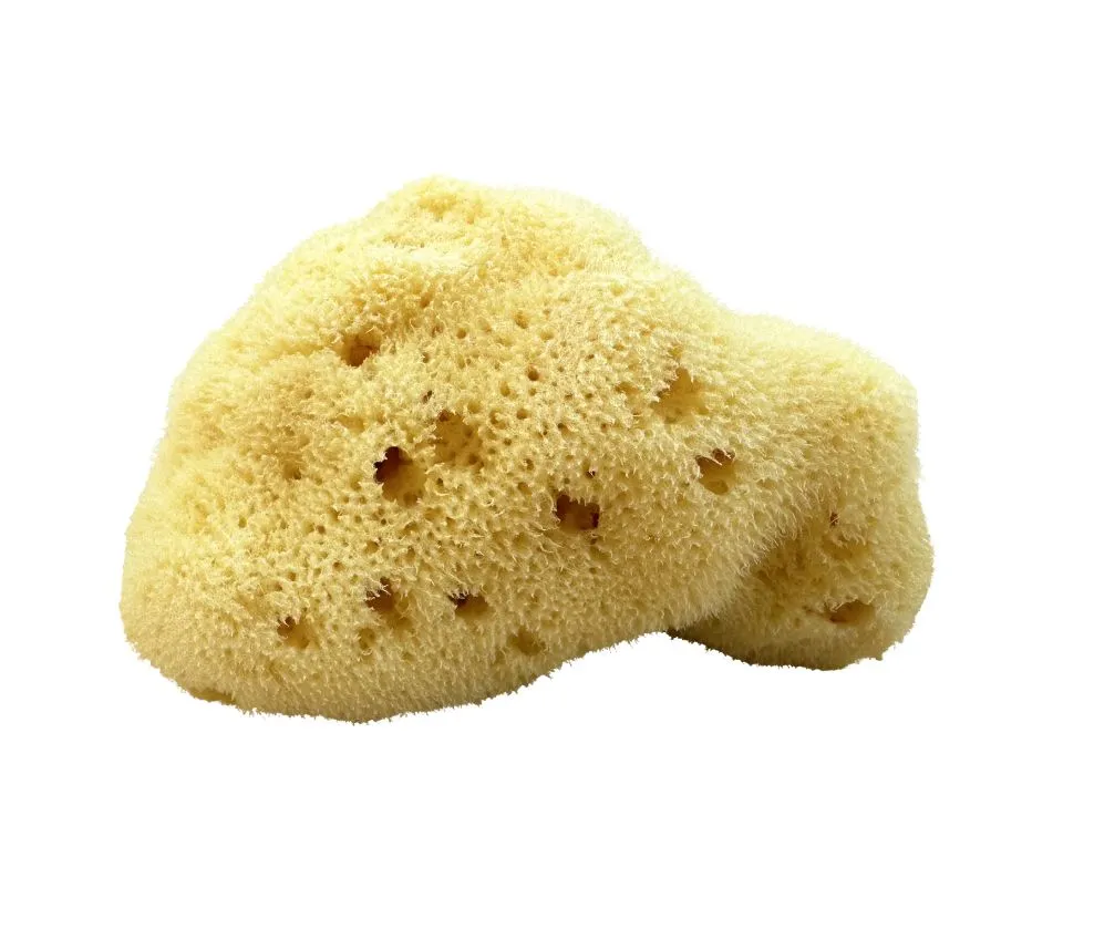 kii-baa organic Hedvábná mořská houba pro děti 8-10 cm 1 ks