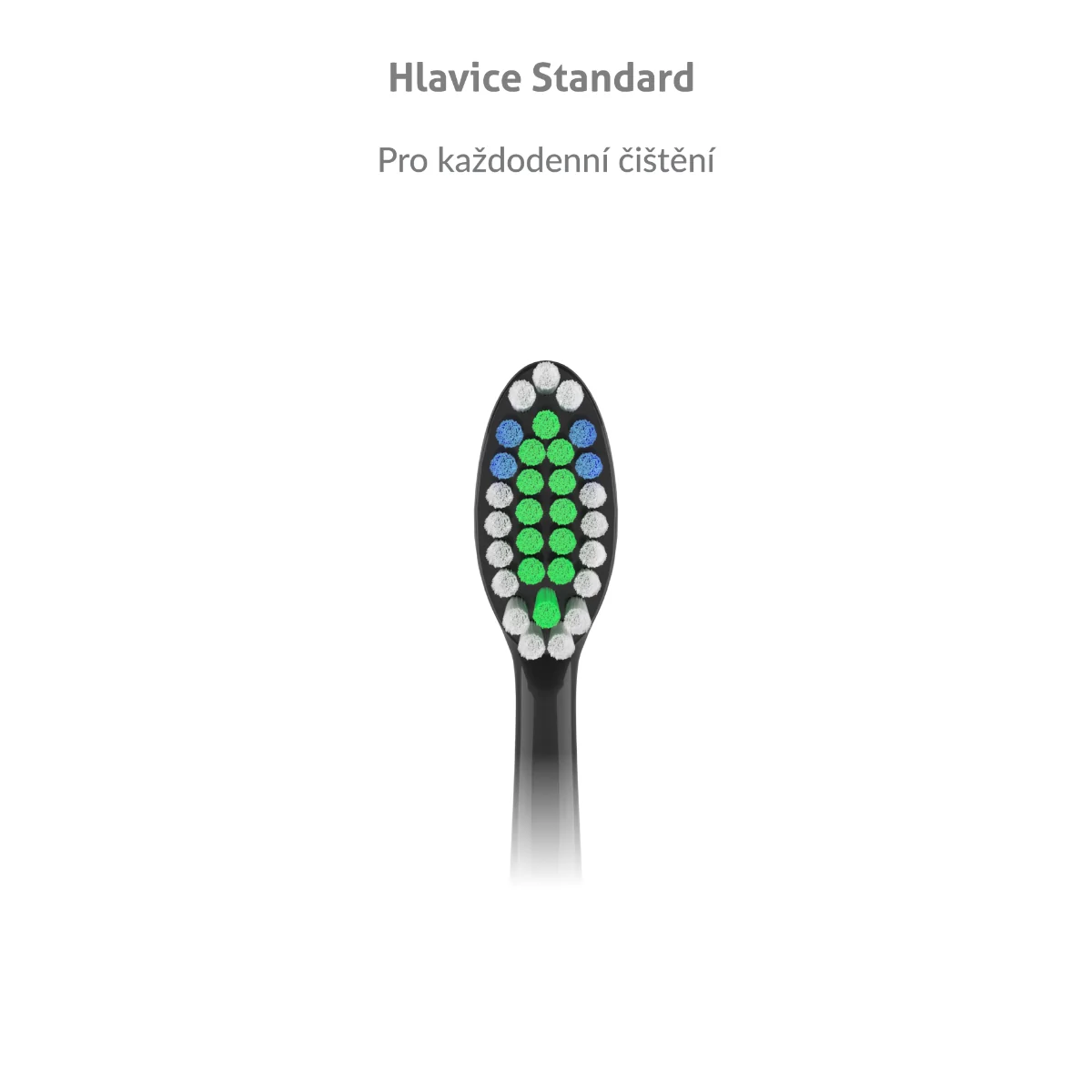 Truelife SonicBrush K-series Heads Standard náhradní hlavice 2 ks black