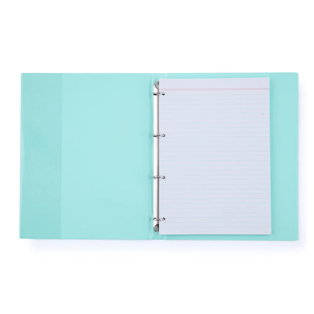 Karton P+P PASTELINi - karis blok A4, PVC, 4kroužkový, 100 listů, zelený