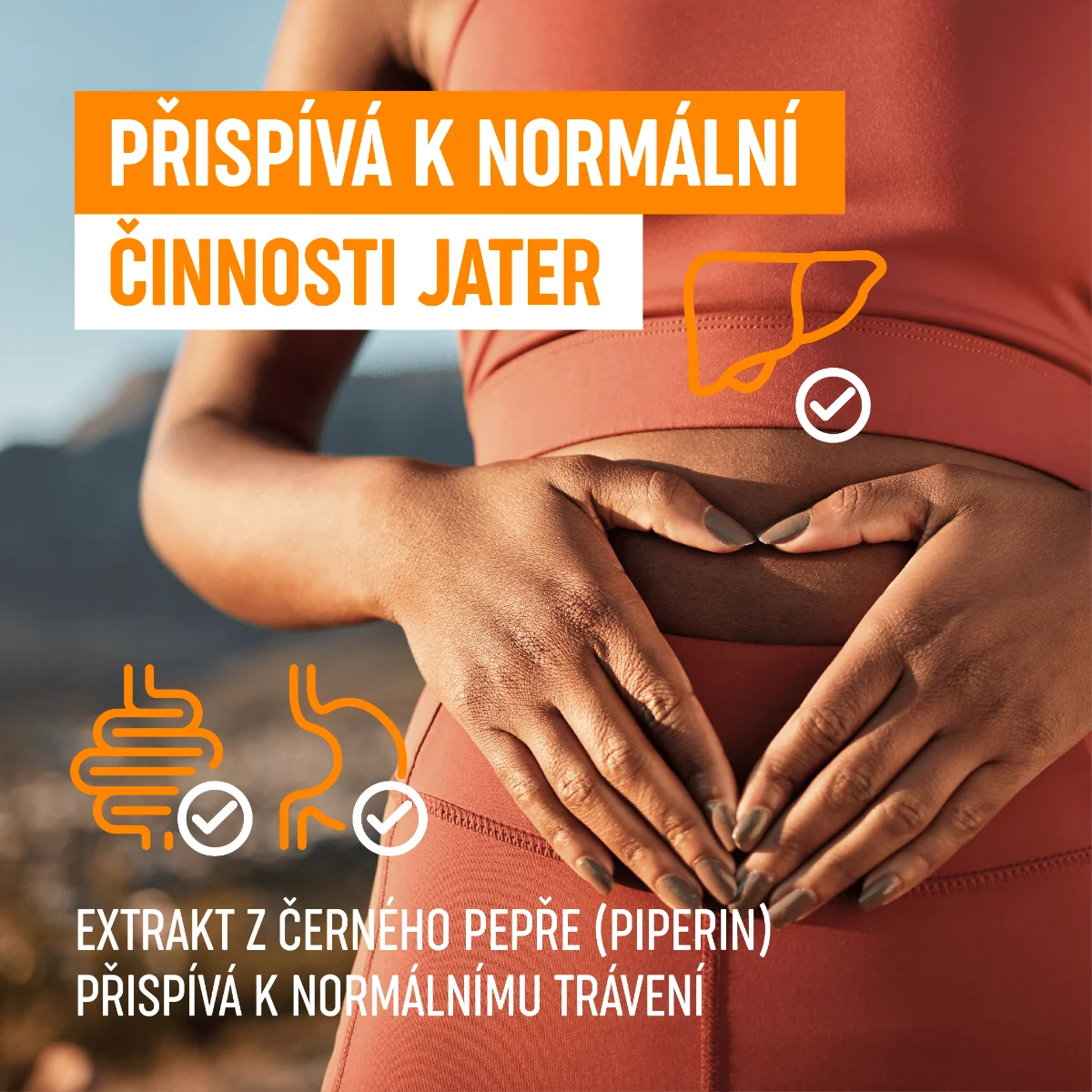 Organis Kurkumin + piperin 60 kapslí