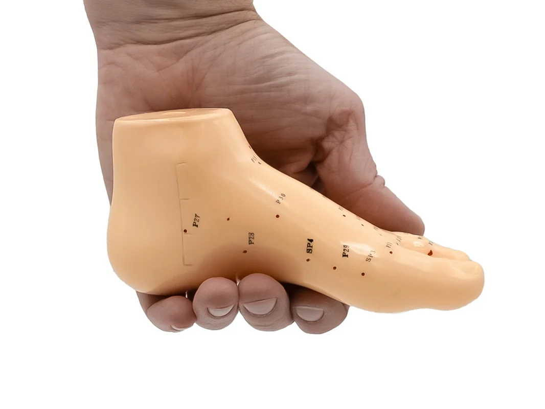 Hwato Akupunkturní model nohy, 15 cm