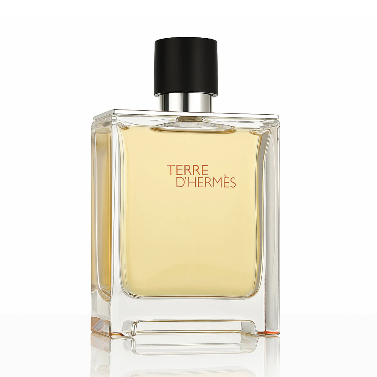 Hermès Terre D' Parfém 200 ml M (Nový obal)