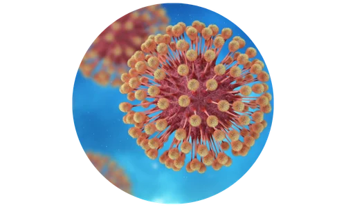 Virová onemocnění (herpes virus HSV typ 1 a 2) Virová onemocnění (herpes virus HSV typ 1 a 2)