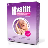 Hyalfit