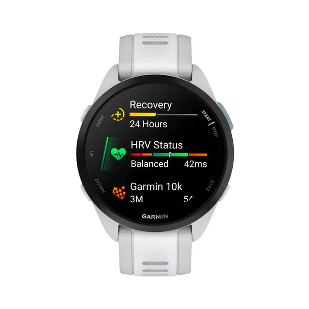 Garmin Forerunner 165 Music chytré hodinky Mist Grey/Whitestone