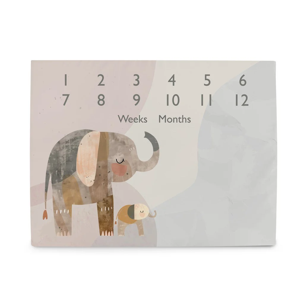 Ceba Podložka milníková na focení (92x72) Basic Elephant Family