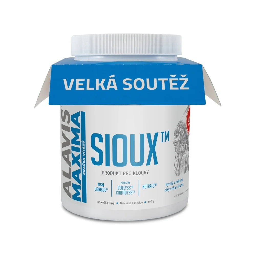 Barny´s Sioux MSM 600 g