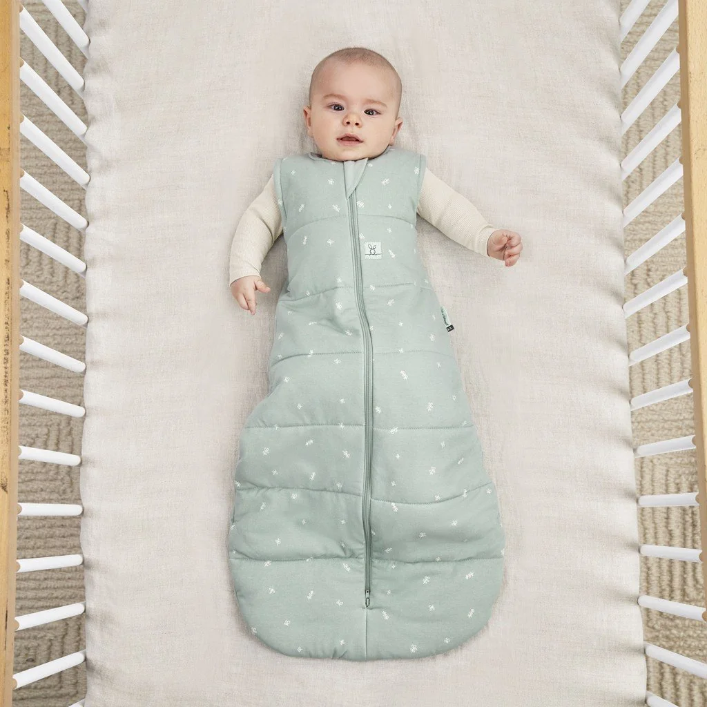 ergoPouch Pytel na spaní organická bavlna Jersey Sage 3-12 m, 6-10 kg, 2,5 tog