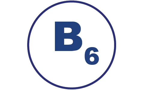 Vitamin B6 zvyšuje účinnost hořčíku díky jeho zvýšenému vstřebávání.