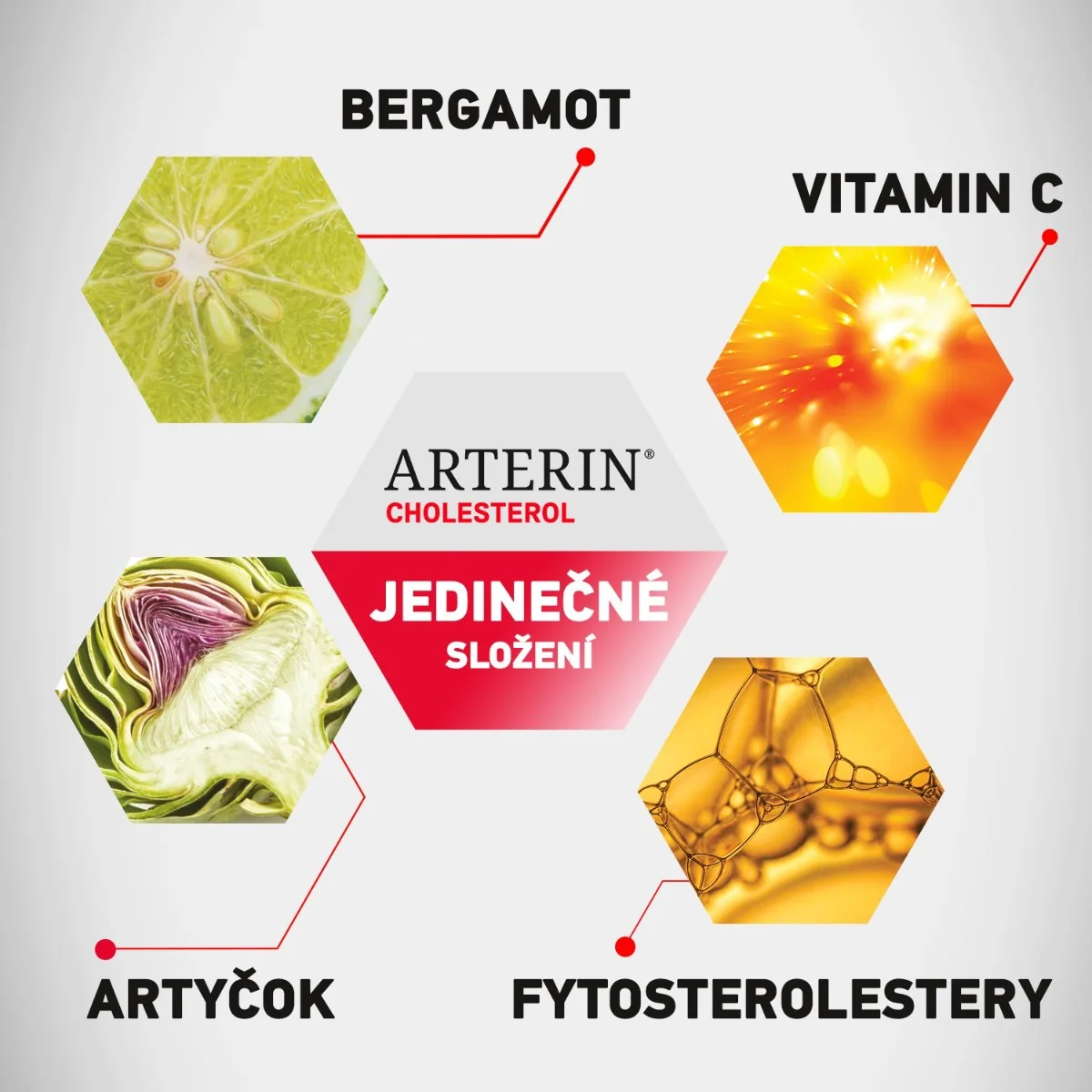 Arterin Cholesterol 90 tablet