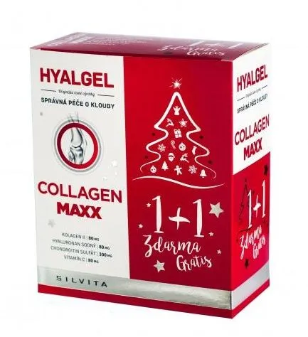 Hyalgel Collagen MAXX 2x500 ml vánoční balení 2019