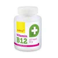 Wolfberry Vitamín B12