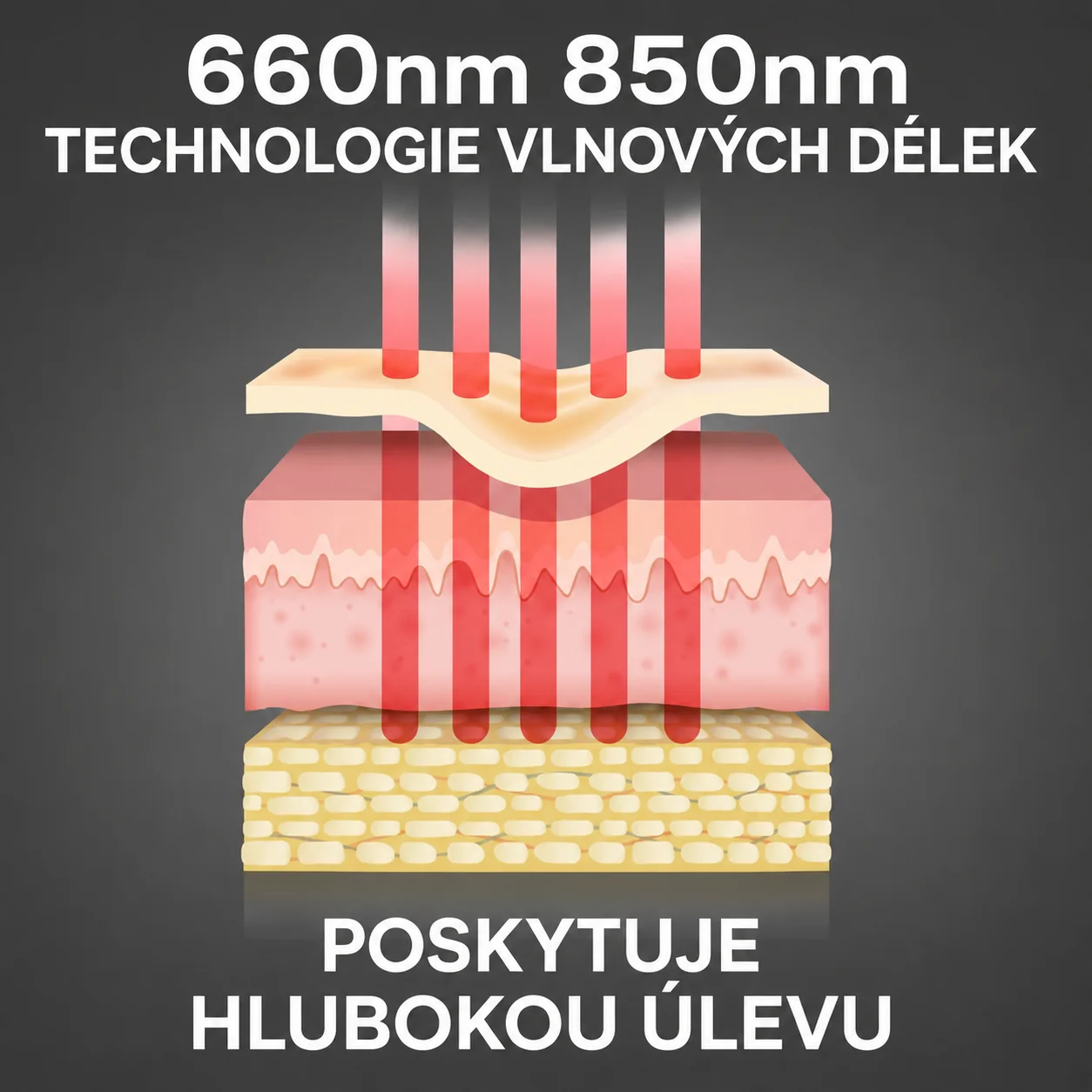 Reviber Bederní pás s infračerveným LED světlem černý