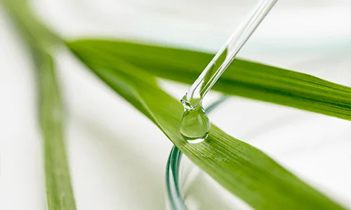 unikátní rostlinná aktivní látka 100% přírodního původu – oves Rhealba® unikátní rostlinná aktivní látka 100% přírodního původu – oves Rhealba®