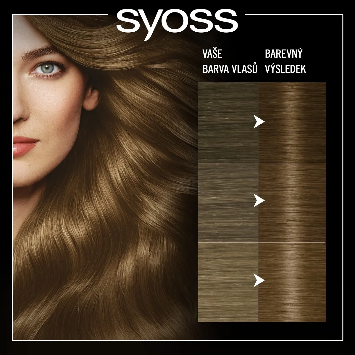 Syoss Oleo Intense Barva na vlasy 6-80 oříškově plavá 50 ml