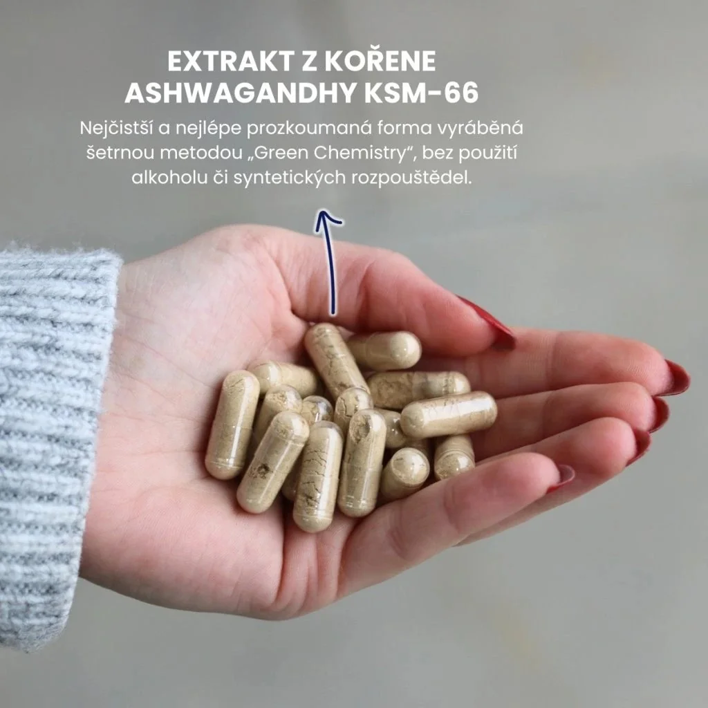 Renovality Ashwagandha MAXIMAL 525 mg KSM-66 90 tobolek