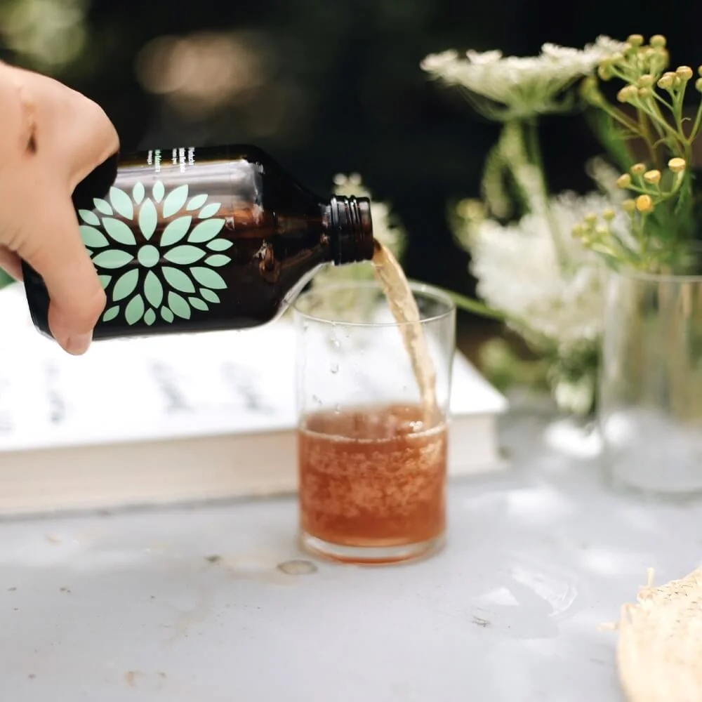 VIGO Kombucha okurka a koriandr BIO 330 ml