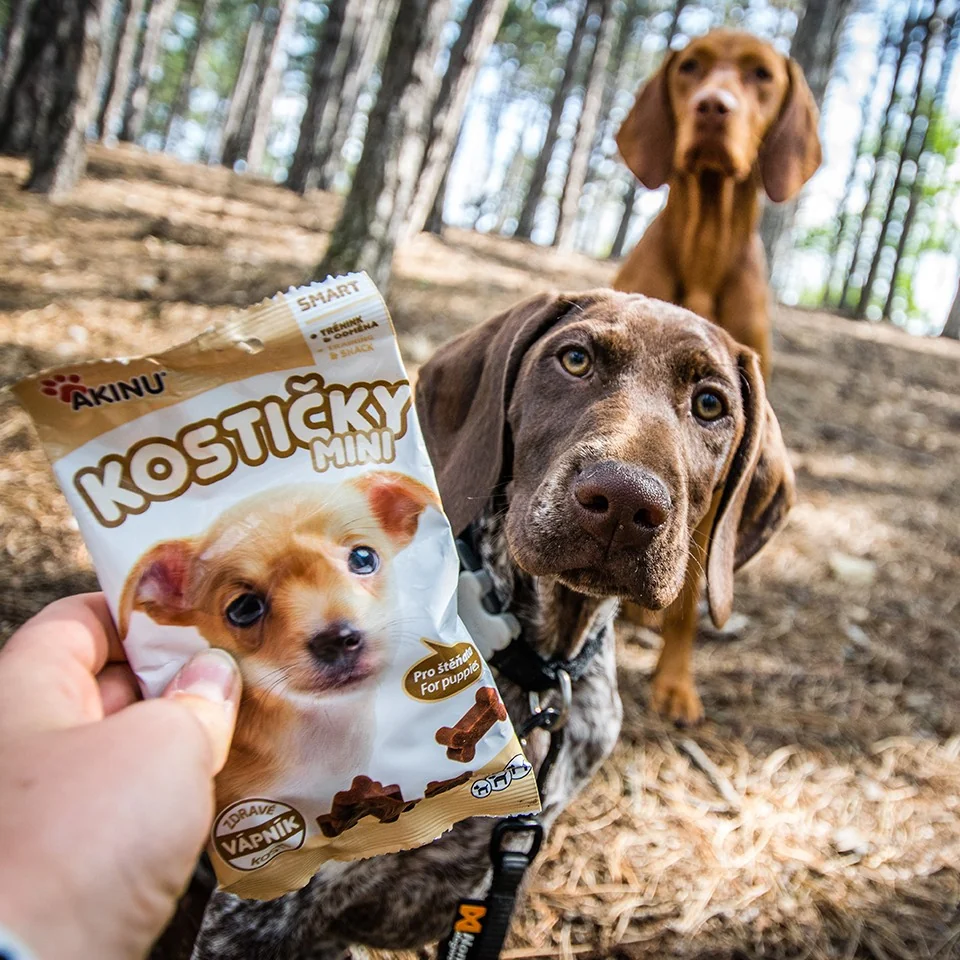 Akinu Vápníkové MINI kostičky pamlsek pro štěňata 12 x 60 g