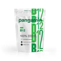 Pangamin B12