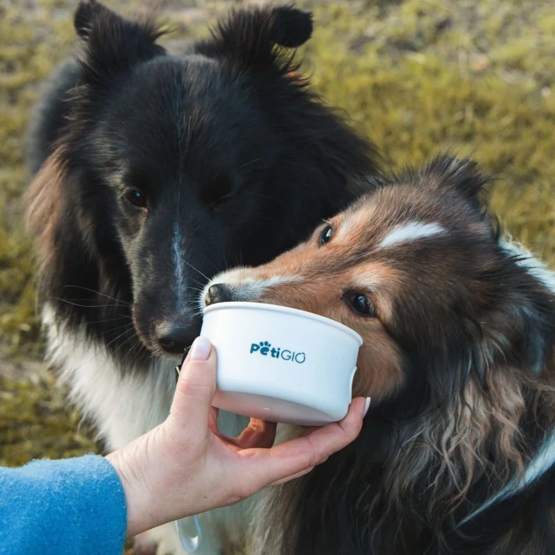 PetiGIO peti-to-Go cestovní miska 3v1