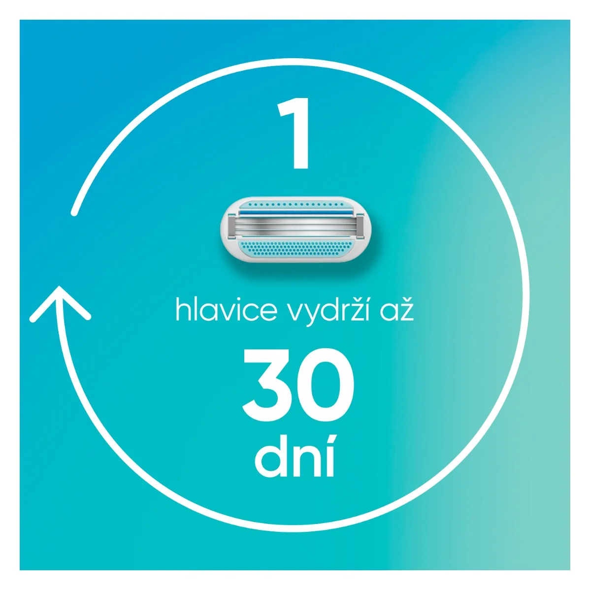 Gillette Venus Smooth holicí hlavice 8 ks
