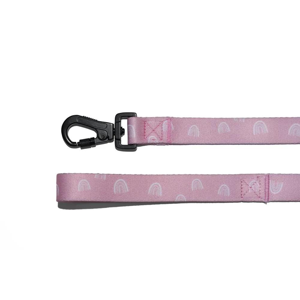 Explorer dog Vodítko Duha L - 170x2,5 cm