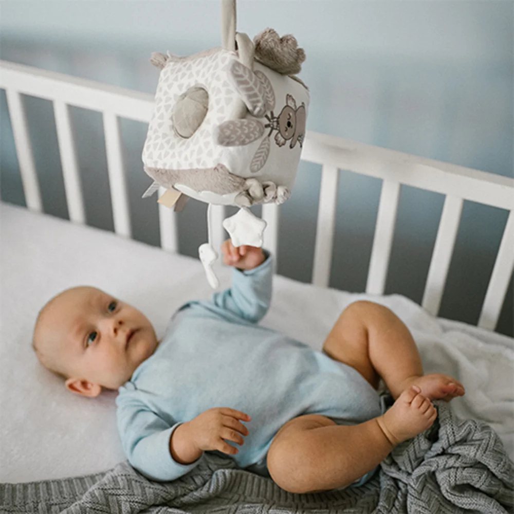 Babyono Senzorická plyšová hračka Koala Coco, šedá