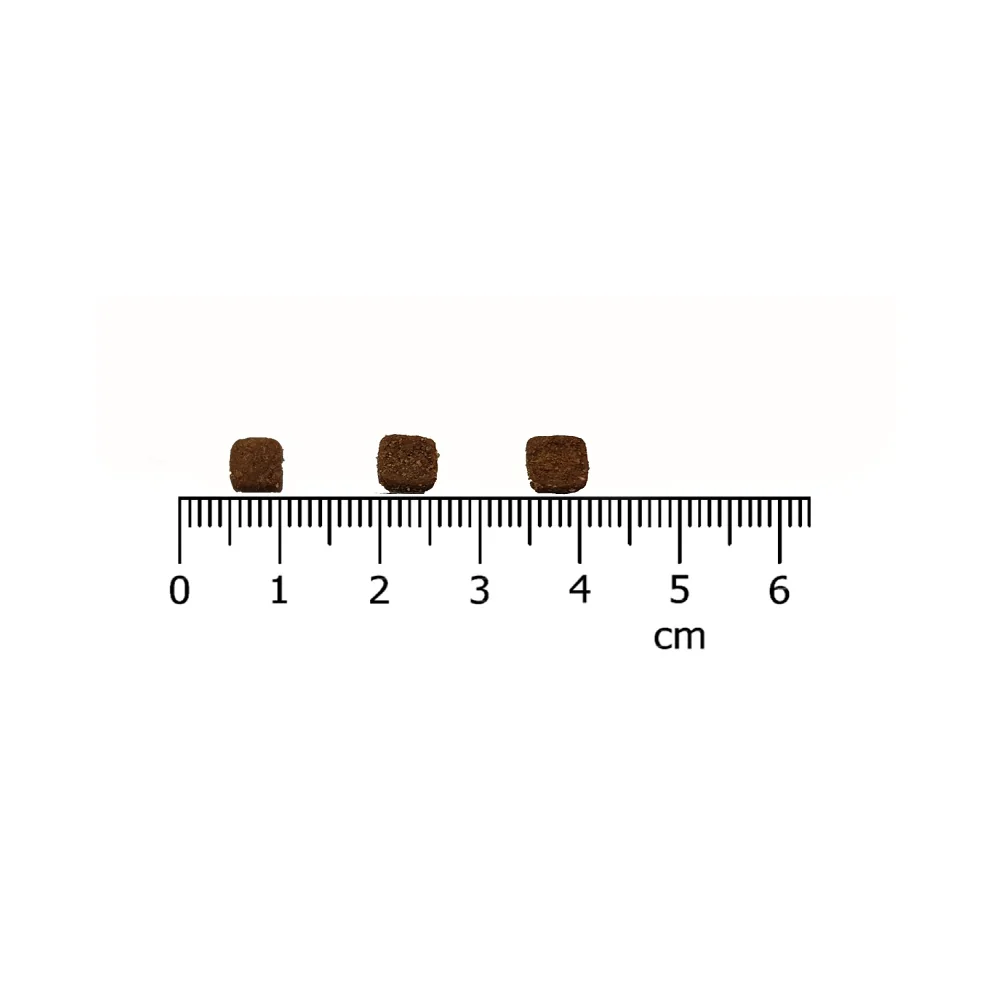 IRONpet Cat Kitten Beef (Hovězí) 12 kg 