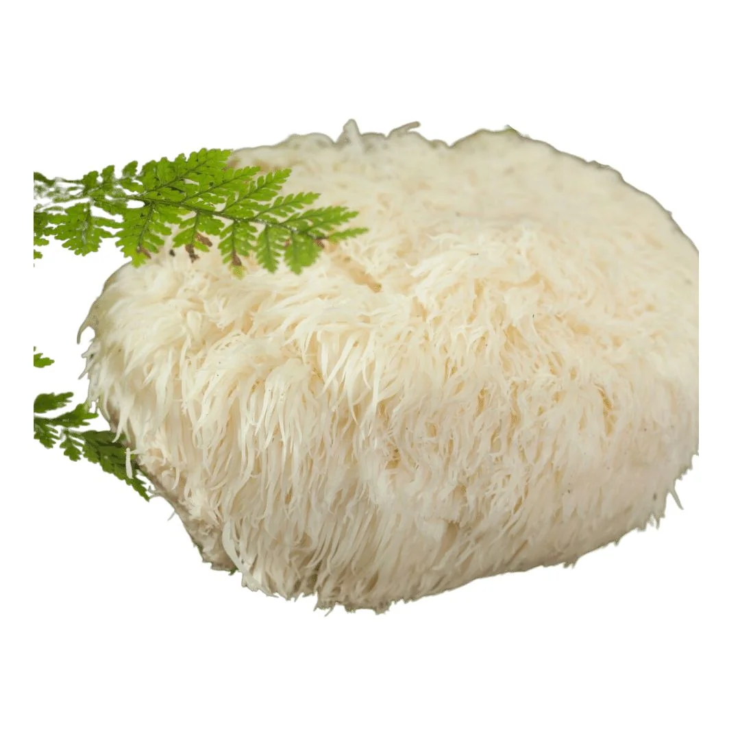 Dayzen lion's mane tinktura 30 ml