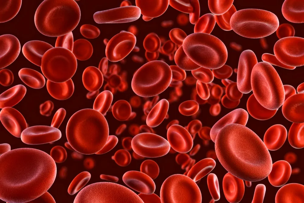 Jaká je hodnota červených krvinek?