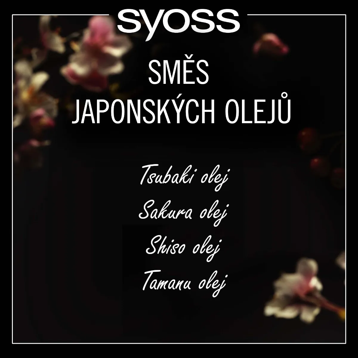 Syoss Oleo Intense šampon na suché vlasy 440 ml