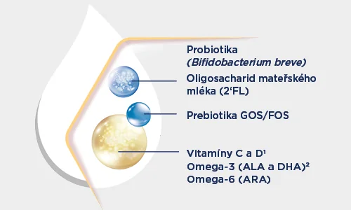 probiotika a prebiotika probiotika a prebiotika