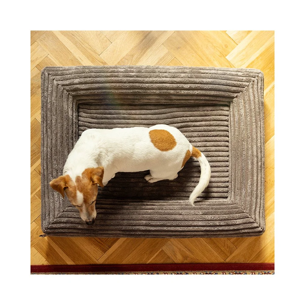 Explorer dog Pelech ortopedický Cloud S 80x60 Vanilla Beige 