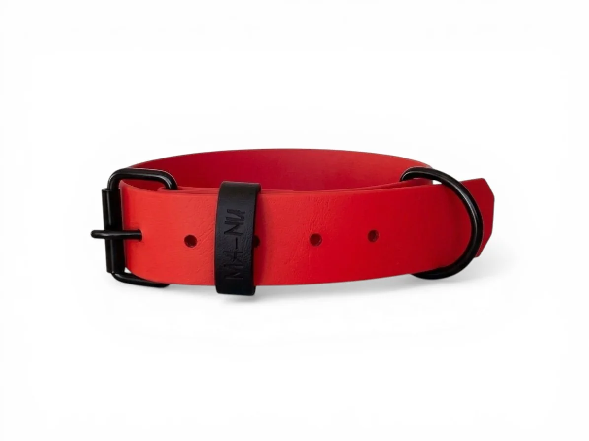 MA-NU Obojek Sweet Bloody, Červený, Kování: Černé, Obvod: 35 - 45 cm, Šířka: 2,5 cm
