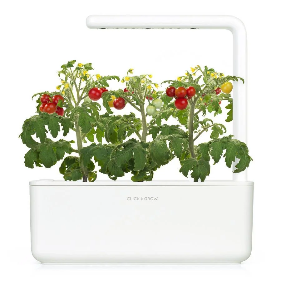 Click & Grow Náplň pro chytré květináče 3 ks - mini rajčátka
