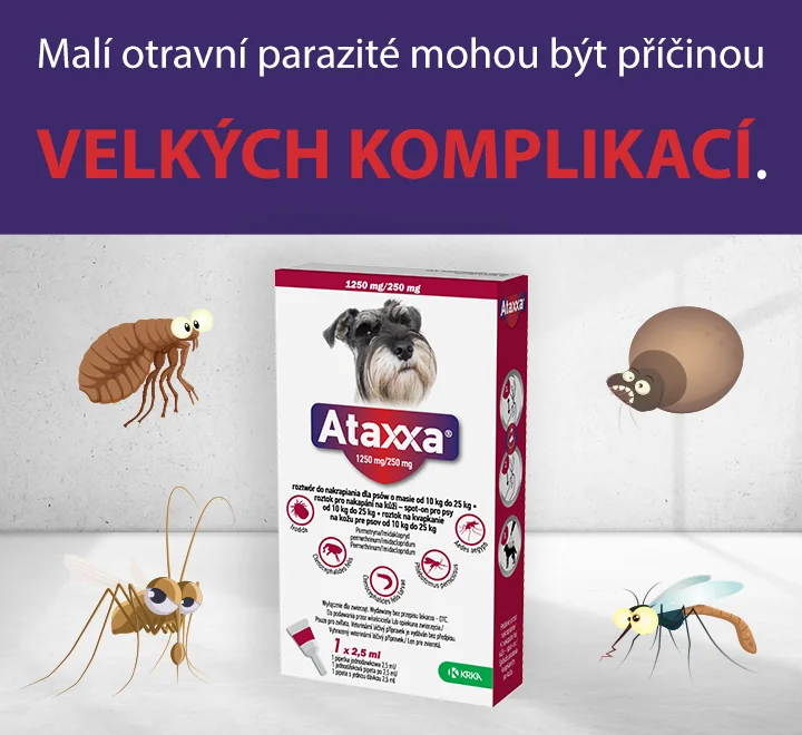 Malí otravní parazité mohou být příčinou velkých komplikací