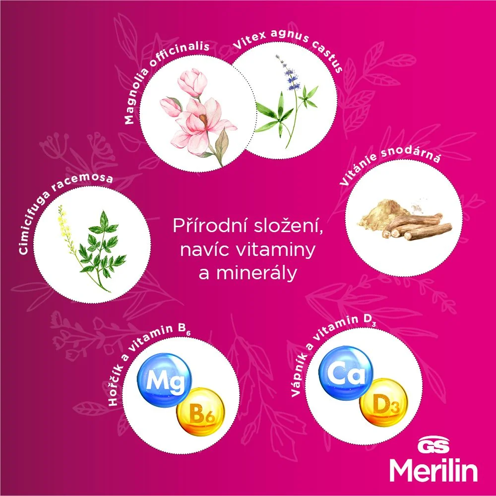 GS Merilin original 60 tablet