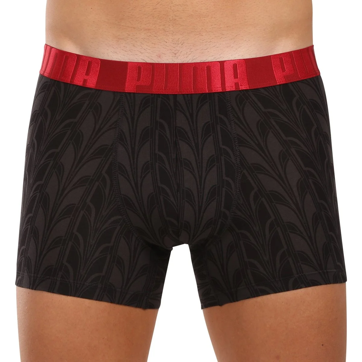 Puma 2PACK pánské boxerky vícebarevné (701228130 001) XXL 