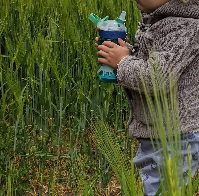 Contigo Dětská láhev Gizmo Flip Jungle Dino zelená 420 ml