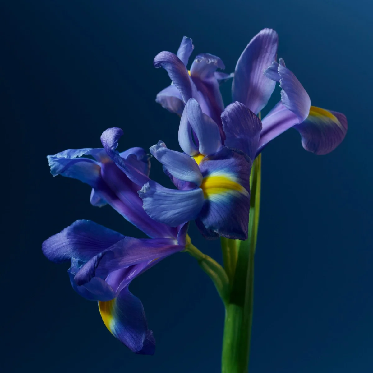 Calvin Klein One Night Essence parfém unisex 100 ml