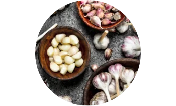 česnek