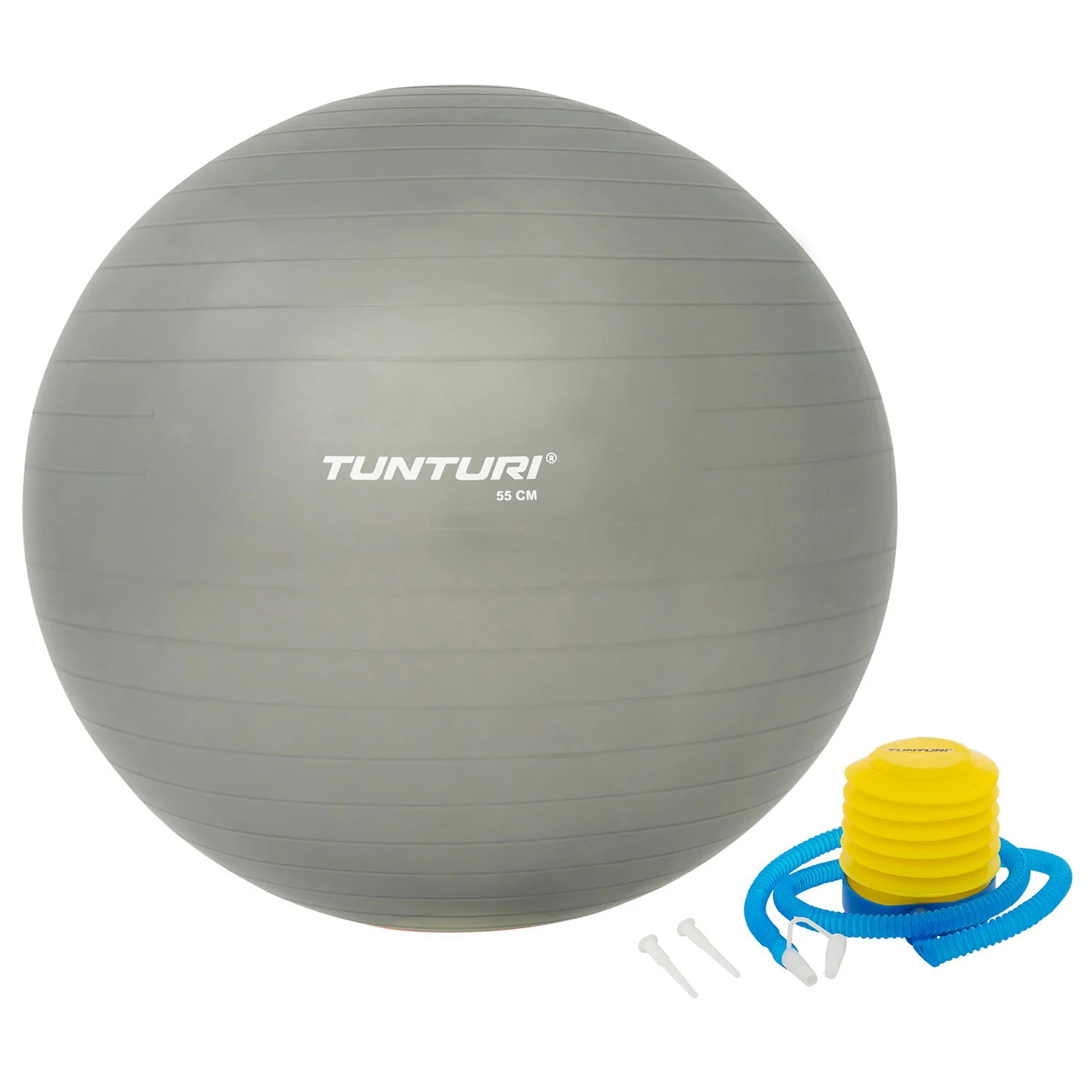 Tunturi Gymnastický míč s pumpičkou stříbrný varianta 90 cm 