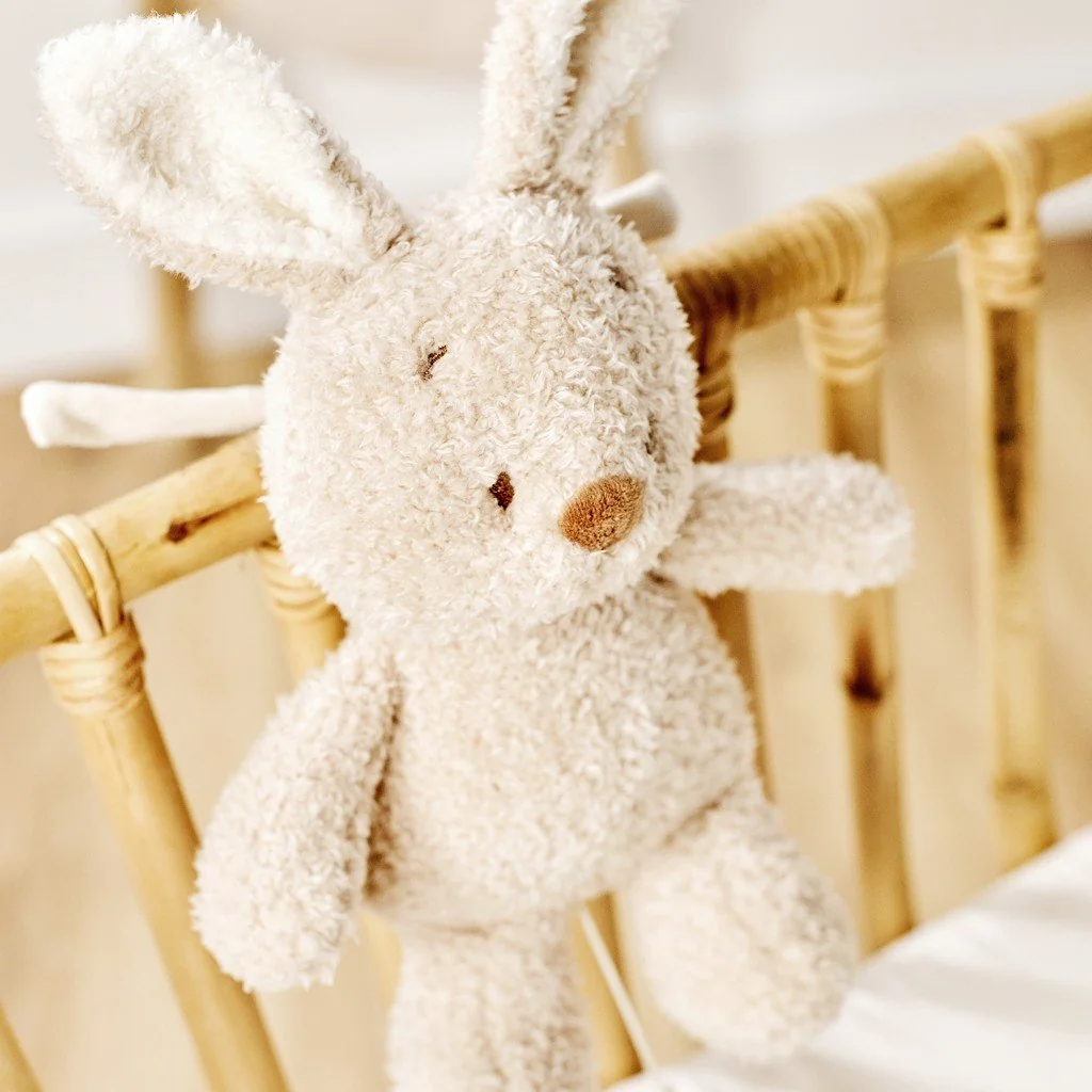 Nattou Hračka plyšová hudební Teddy zajíček 24 cm, 0m+