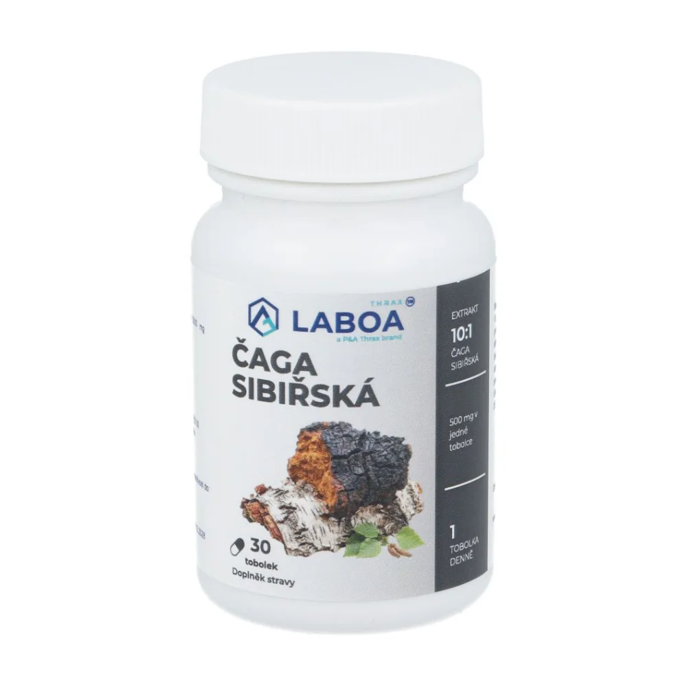 LABOA THRAX Čaga sibiřská 30 tobolek