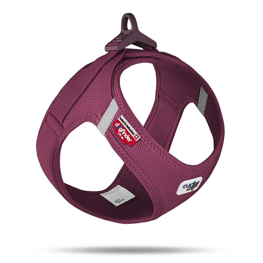 Curli Postroj pro psy se sponou Air-Mesh Ruby 2XS, 2-4 kg