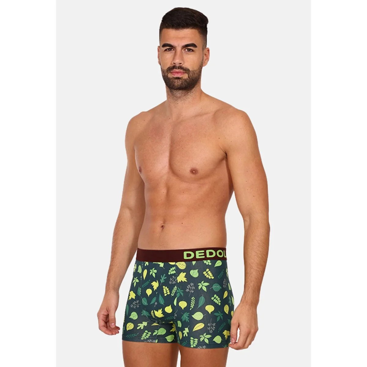 Dedoles Veselé pánské boxerky Lesní chata (D-M-UN-T-C-C-1375) M
