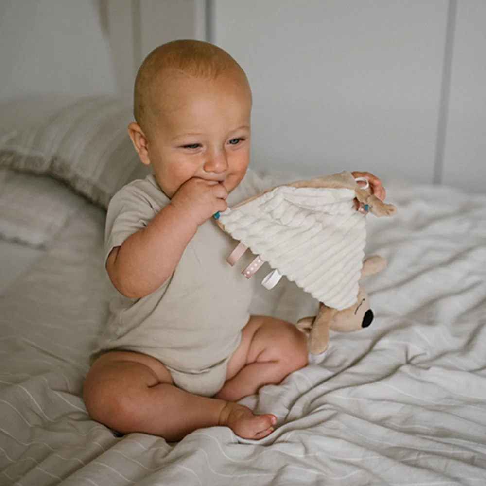 Babyono Plyšová hračka/přítulníček KOALA CHARLIE, béžový