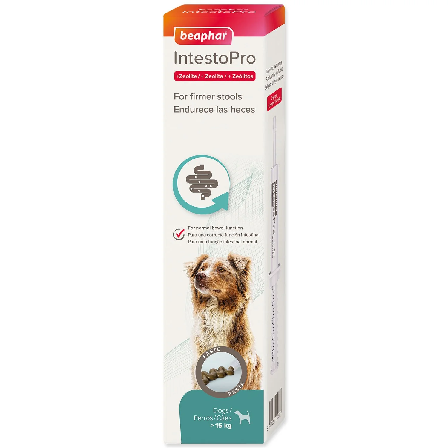 Beaphar Pasta IntestoPro L pro velké psy 2x 20ml